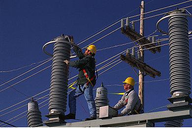 《集合啦！动物森友会》新岛民介绍 热议NPC蜜雪儿确认是男性